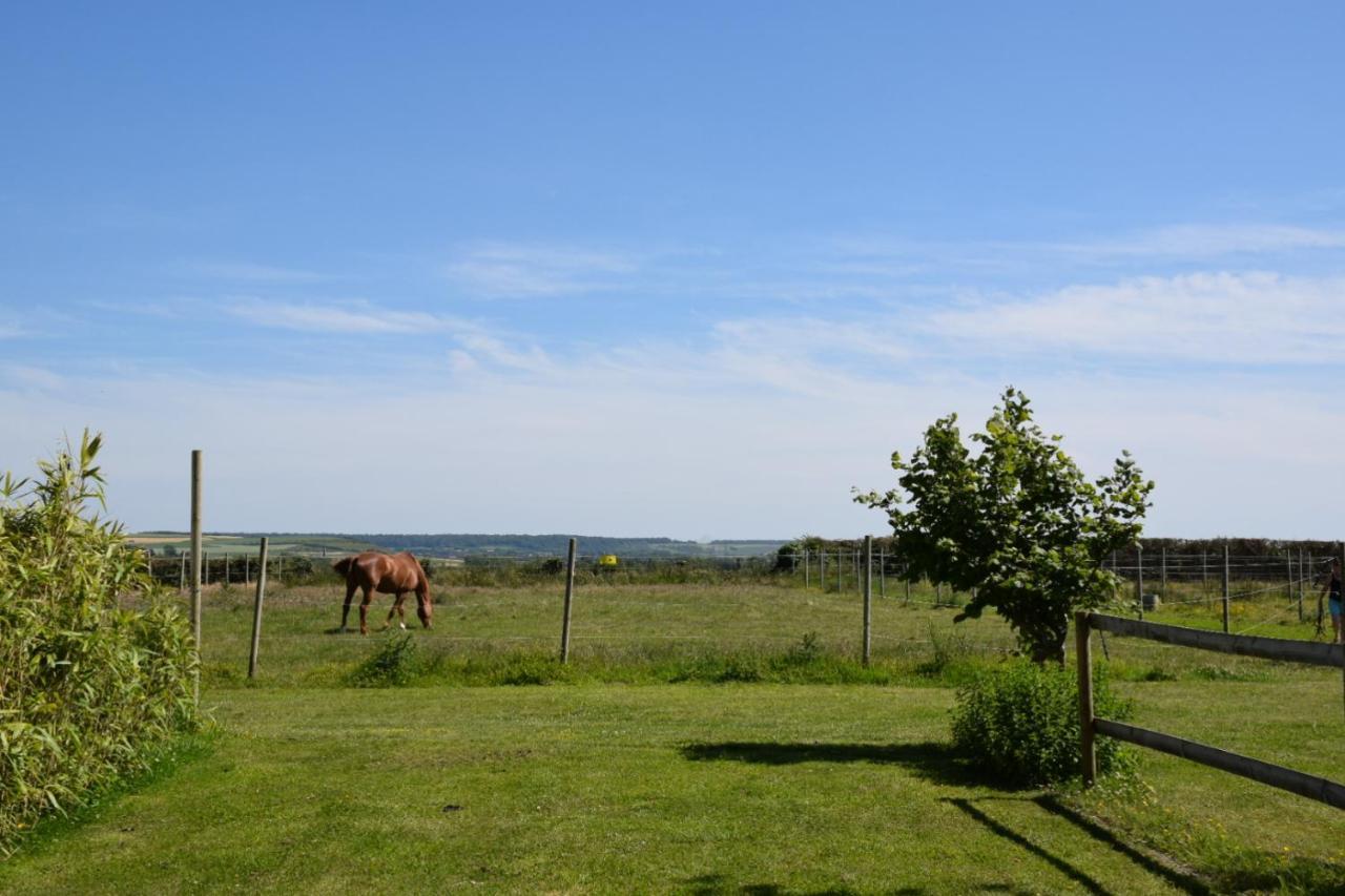 Le Clos de l'Angley Gîtes et pension équestre Caffiers Exterior foto