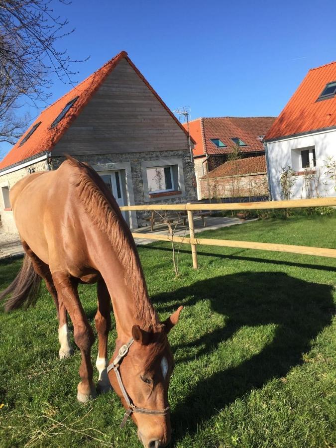 Le Clos de l'Angley Gîtes et pension équestre Caffiers Exterior foto