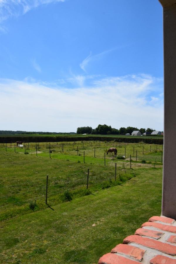 Le Clos de l'Angley Gîtes et pension équestre Caffiers Exterior foto