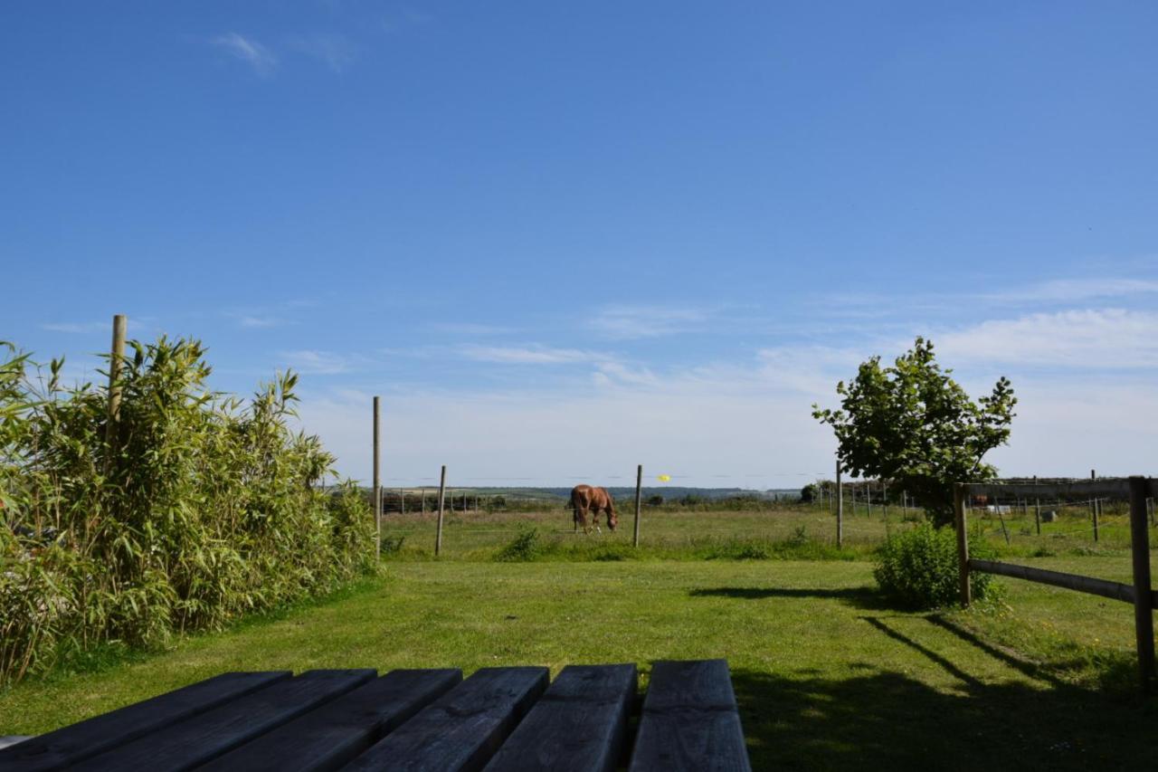 Le Clos de l'Angley Gîtes et pension équestre Caffiers Exterior foto