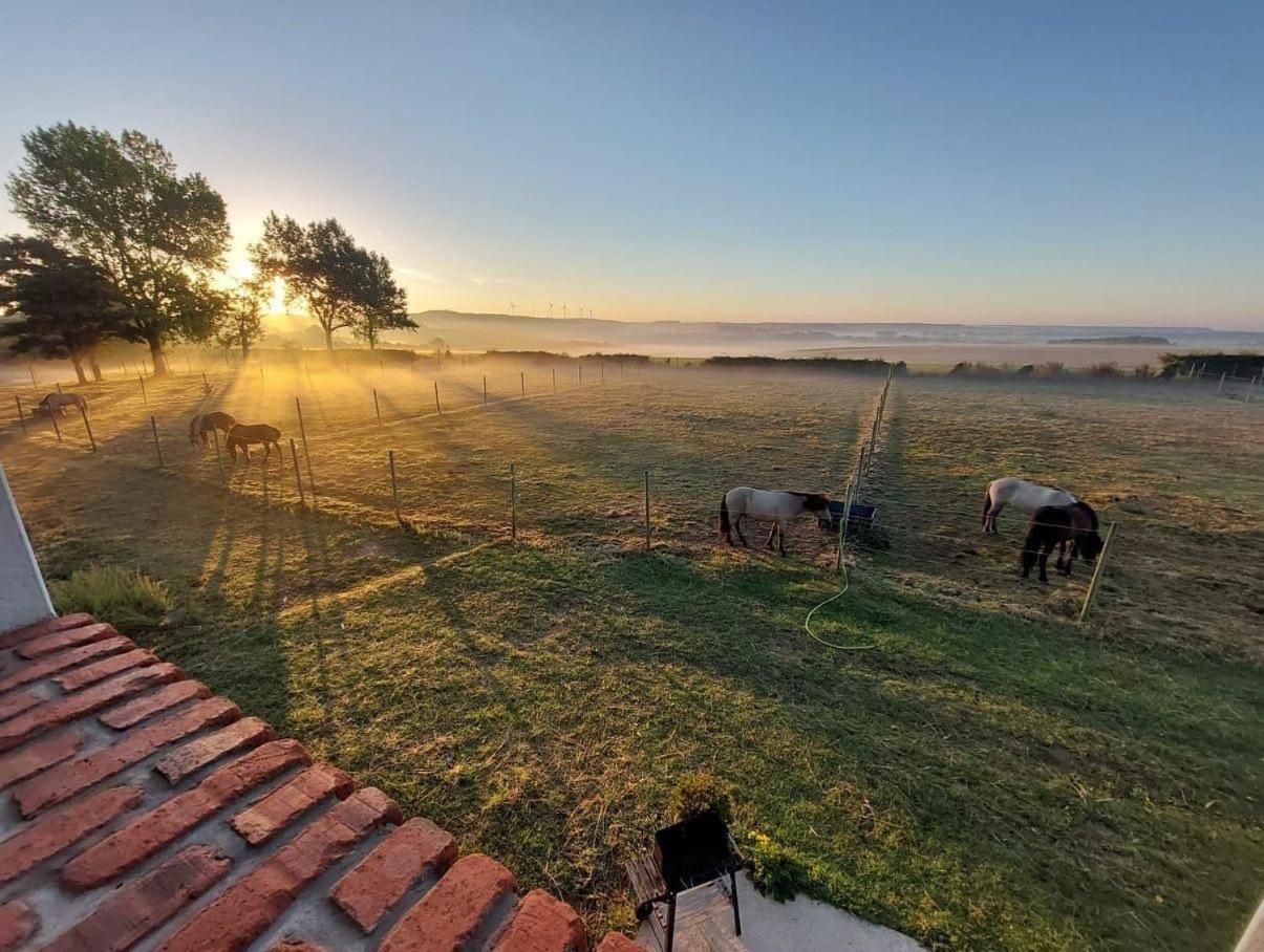 Le Clos de l'Angley Gîtes et pension équestre Caffiers Exterior foto